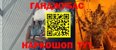 шишки Гусиноозёрск
