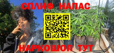 шишки Гусиноозёрск