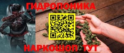 шишки Гусиноозёрск