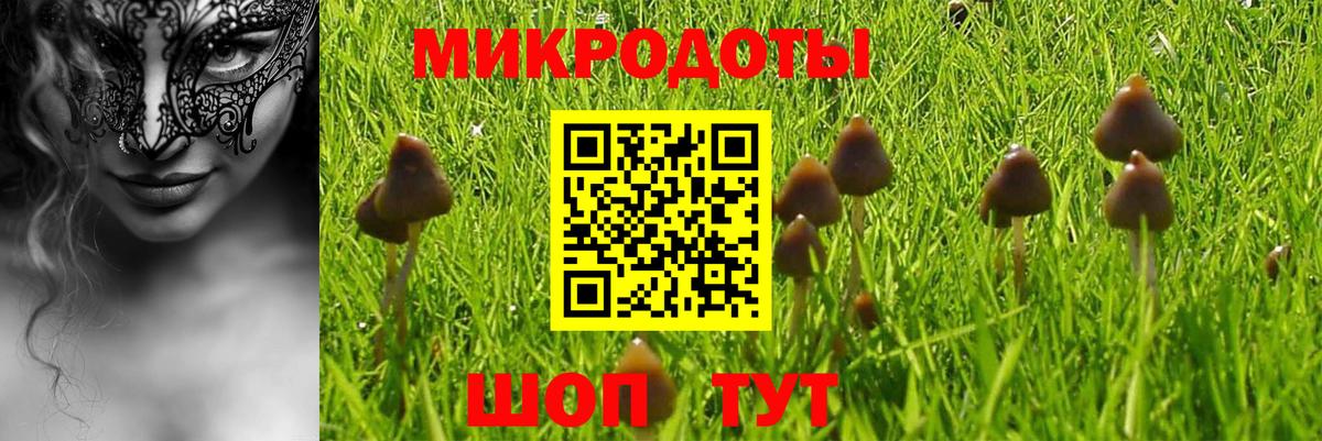 Галлюциногенные грибы ЛСД Мурино