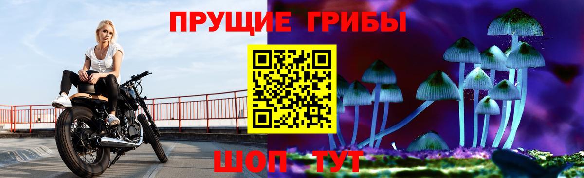 Псилоцибиновые грибы Cubensis  хочу наркоту  Мурино  Вход с VPN 